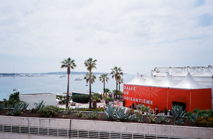 Traitement punaises de lit Cannes